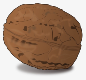 Walnut Nut Food Free Photo - Cartoon Walnut Images Png, Transparent Png, Free Download