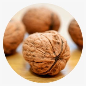 Walnuts - Powder To Increase Breast Size, HD Png Download, Free Download
