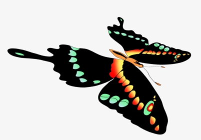 Moths And Butterflies, HD Png Download, Free Download