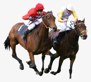 Transparent Horse Png - Horse Racing Transparent Background, Png Download, Free Download