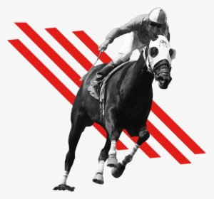 Transparent Horses Png - Horse Race Png, Png Download, Free Download