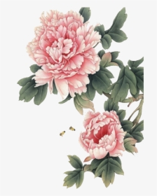 Chinese Flower Transparent Background - Peony Chinese Painting Png, Png Download, Free Download