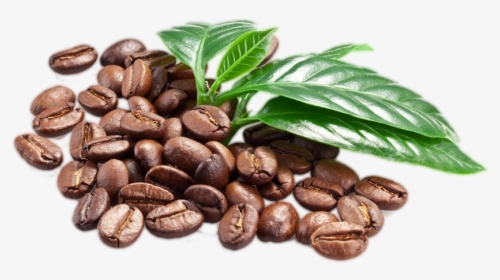 Coffee Beans With Leaf Png - Coffee Beans Transparent Background, Png Download, Free Download