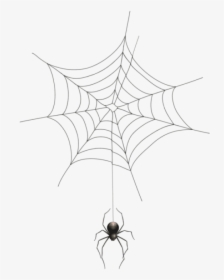 Spider Web Png Transparent Background - Transparent Background Spider Web Png, Png Download, Free Download
