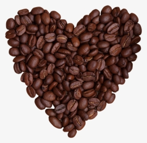 Coffee Bean No Background, HD Png Download, Free Download