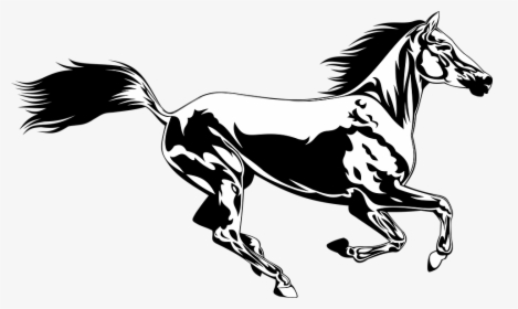 Horse, Racing, Animal, Riding, Rider, Coloring, Jokey - Horse, HD Png Download, Free Download