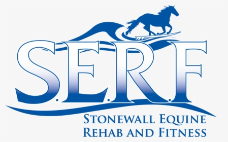Welcome To Stonewall Equine Rehabilitation And Fitness - Stallion, HD Png Download, Free Download