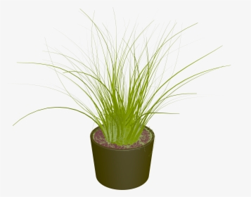 Pot Plant Clipart Land Clipart - Flowerpot, HD Png Download, Free Download