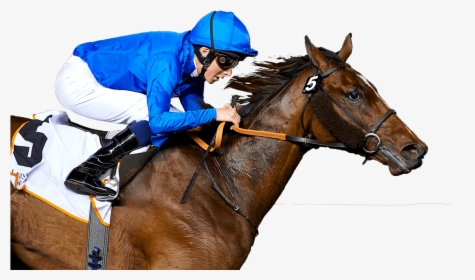 Always Back Winners Horse Racing Tips - Mare, HD Png Download, Free Download