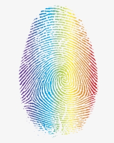 Color"s Fingerprint - Fibonacci Spiral In Fingerprint, HD Png Download, Free Download
