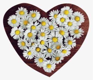 Flower Png Heart Transparent - Profile Icon Whatsapp Flower, Png Download, Free Download