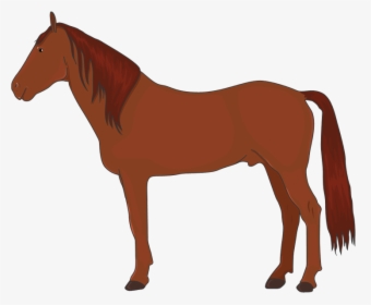 Лошадь Вектор Пнг , Png Download - Cartoon Horse Vector, Transparent Png, Free Download