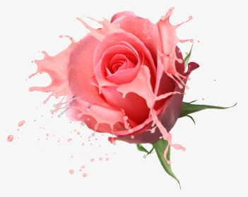 Flower Bouquet Floral Design Transprent Png Free - Flowers Png For Edits, Transparent Png, Free Download
