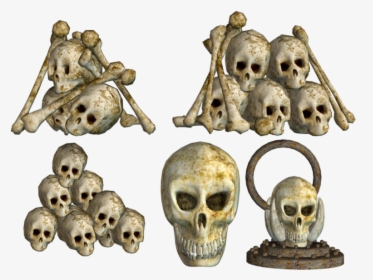 Pile Of Skulls Png, Transparent Png, Free Download
