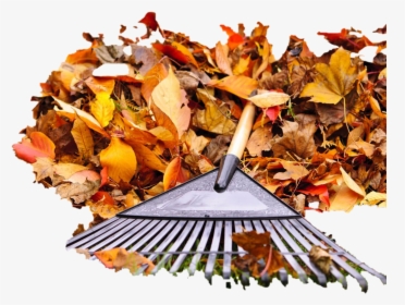 Pile Of Autumn Leaves Png Pic - Rake Leaves, Transparent Png, Free Download