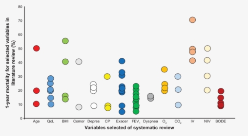 Systematic Review, Number Of Studies And 1-year Mortality - Circle, HD Png Download, Free Download