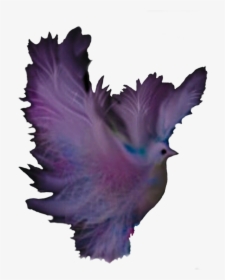 Transparent Purple Feather Png - Portable Network Graphics, Png Download, Free Download