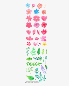 Watercolor Floral Wreath Png, Transparent Png, Free Download