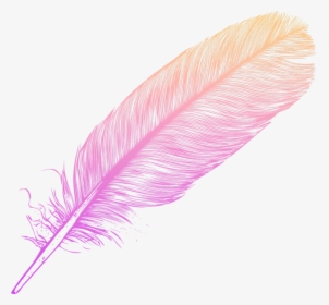 #ombre #feather #feathers #native #boho #pretty #decals - Feather Ombre, HD Png Download, Free Download