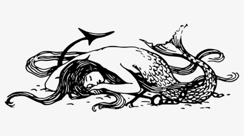 Art,monochrome Photography,carnivoran - Black And White Mermaid Png, Transparent Png, Free Download