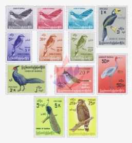 Native Birds - Wildlife, HD Png Download, Free Download