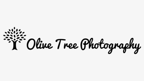 Olive Tree Png, Transparent Png, Free Download