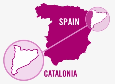 Spain Catalonia Rose 0001 - Half The Population Of Spain, HD Png Download, Free Download
