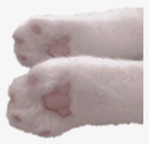 #freetoedit #white #cat #paws - Paw, HD Png Download, Free Download