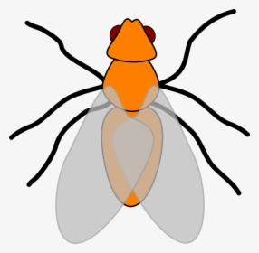 Clip Art, HD Png Download, Free Download