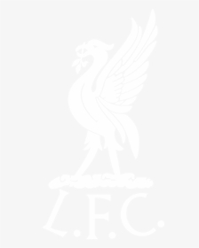 Get  New White Liverpool Logo Transparent Wallpaper