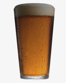 Empty Beer Mug Png Download - Pint Glass Of Beer, Transparent Png, Free Download