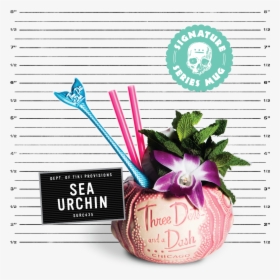 Tiki Culture, HD Png Download, Free Download