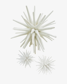 Sea Urchin Lg $1,000 Lg, - Metal, HD Png Download, Free Download