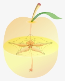 Plant,leaf,apple - Apple, HD Png Download, Free Download