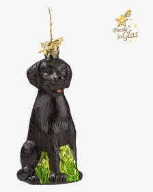 Christbaumschmuck Labrador, HD Png Download, Free Download