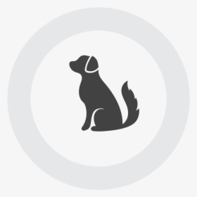 Neadsdog - Labrador Retriever, HD Png Download, Free Download