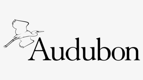 Audubon Logo Blk-resized - National Audubon Society, HD Png Download, Free Download