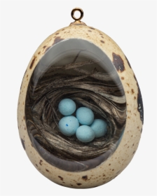 Robin"s Nest - Quail Egg Resin, HD Png Download, Free Download