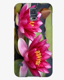 Smartphone, HD Png Download, Free Download