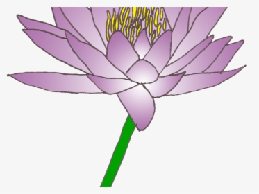 Water Lily Clipart Lily Pad - Clip Art, HD Png Download, Free Download