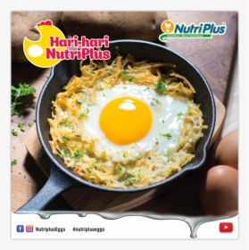 Egg Yolk Png, Transparent Png, Free Download