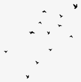 Aesthetic Clipart Bird Svg Library Stock Birds Black - Birds Flying Png Gif, Transparent Png, Free Download