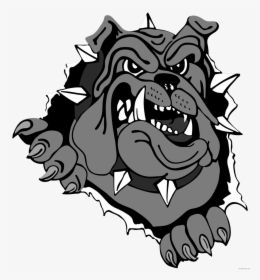 Bull Dog Clipart Clip Stock Bulldog Head Clipart - Pittsfield Bulldogs, HD Png Download, Free Download