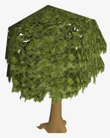 Osrs Tree, HD Png Download, Free Download
