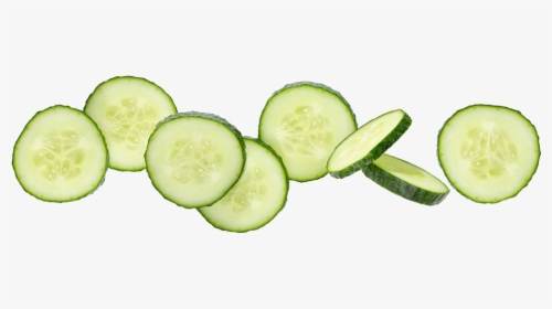 Things With Cucumber Madam Sudden Lunch - Vestige Aloe Cucumber Aquagel, HD Png Download, Free Download