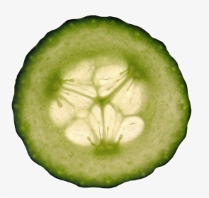 Cucumber Slice Clipart - Cucumber, HD Png Download, Free Download