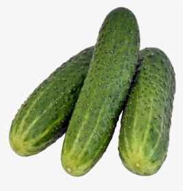 Cucumber Png Image - Salatalık Png, Transparent Png, Free Download