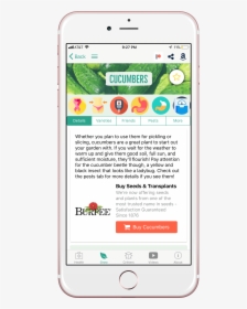 Screenshot, HD Png Download, Free Download