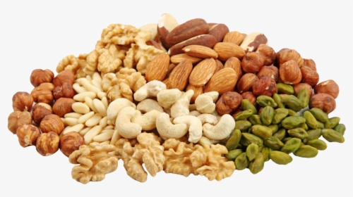 Nuts Transparent Tree - Dry Fruits Png Hd, Png Download, Free Download