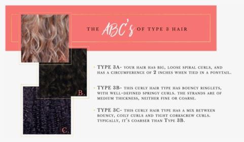 Abcs Of Hair Type 3-04 - Bilberry, HD Png Download, Free Download